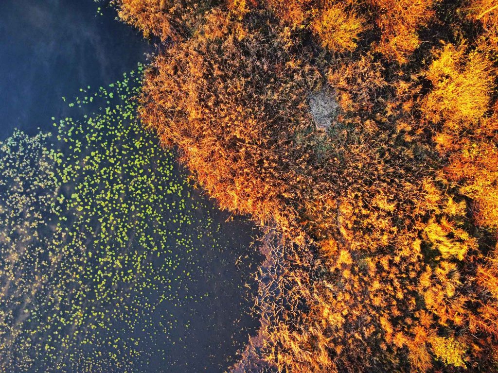 WRC Breakthrough: New Electrochemical Technology Eliminates 99% of Pharmaceutical Pollutants from Wastewater