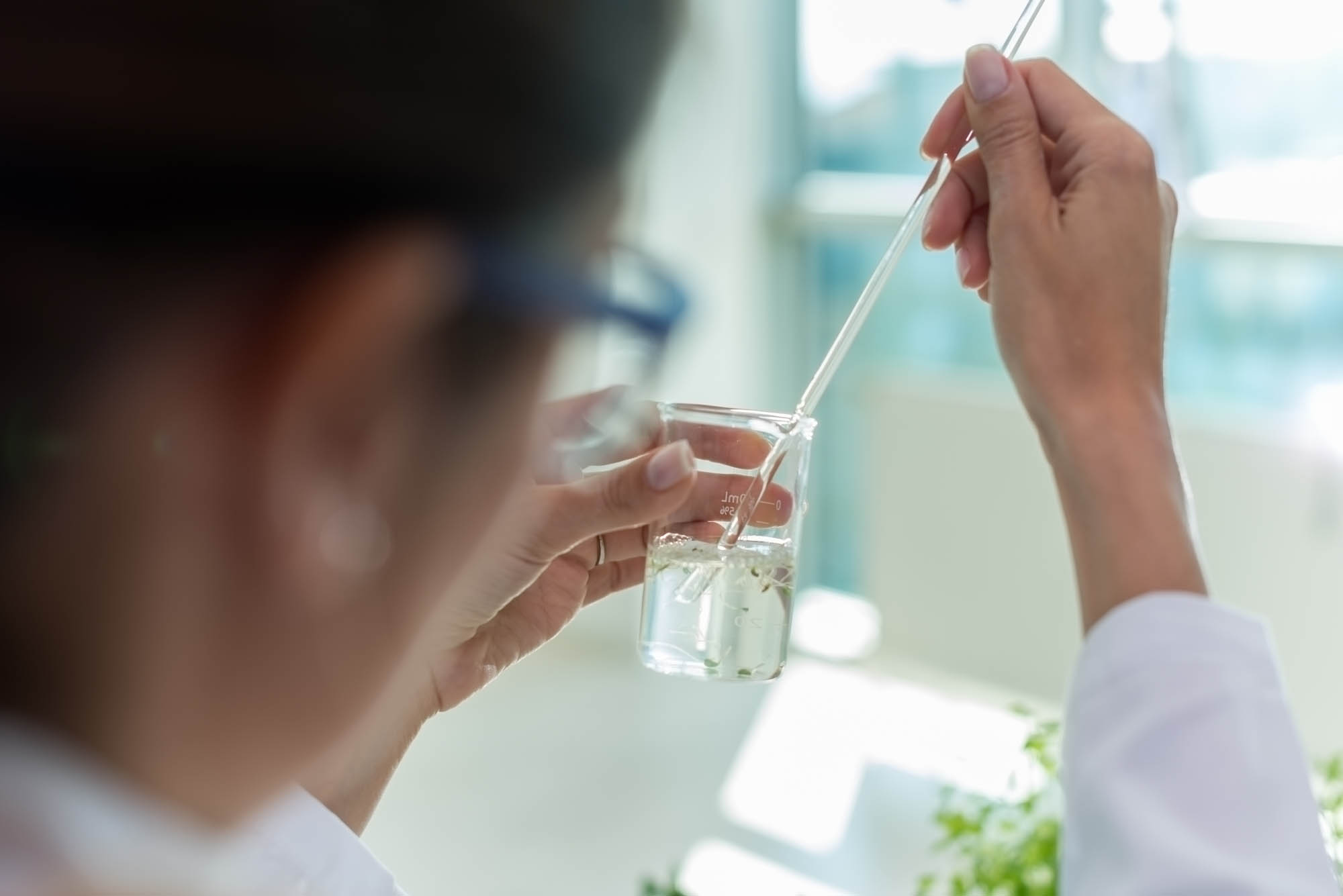 Climate-Driven Shifts in Groundwater Recharge Rates: Implications for Long-Term Water Security